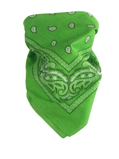 Boerenzakdoek / bandana in appelgroen