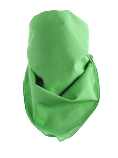 Effen boerenzakdoek / bandana in appelgroen