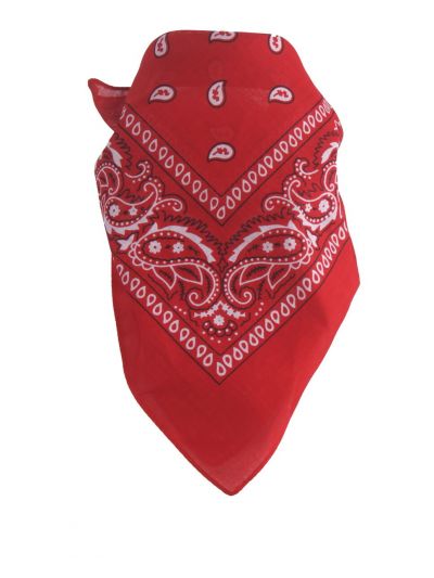 Rode boerenzakdoek / bandana met klassiek motief