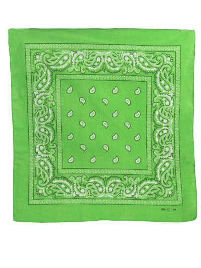 Bandana / boerenzakdoek met klassieke paisley print
