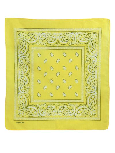 Bandana / boerenzakdoek met klassieke paisley print