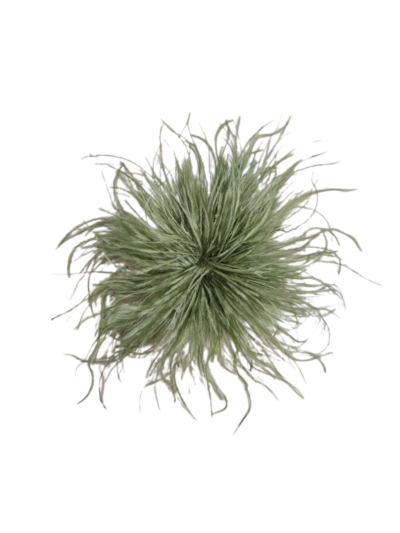 Veren broche / corsage