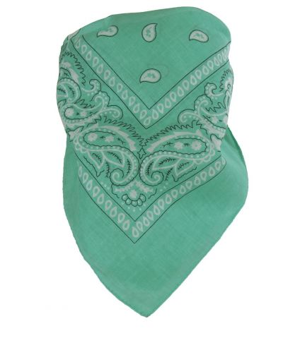 Boerenzakdoek / bandana in mintgroen