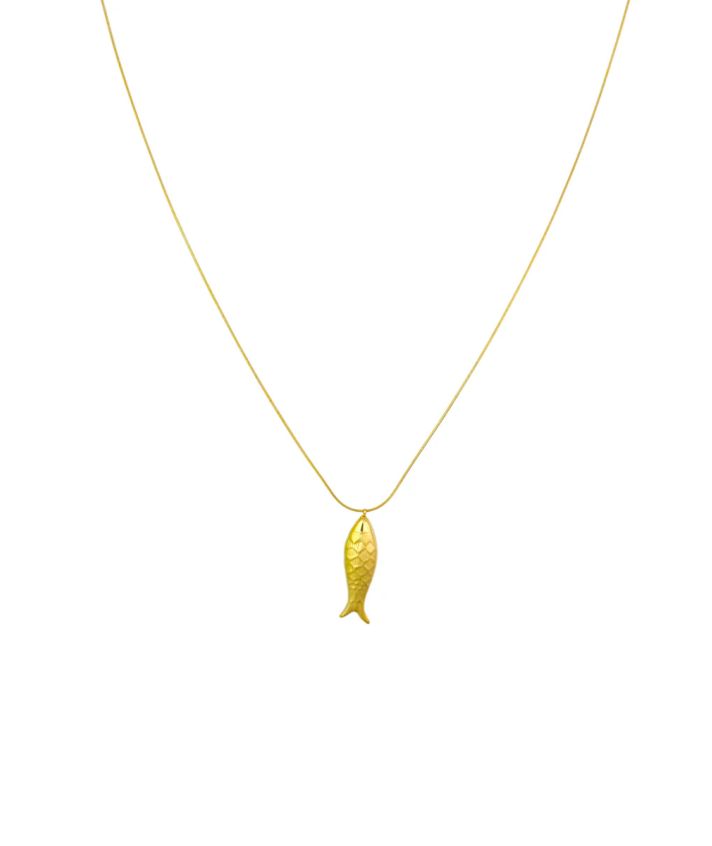 Lange ketting met vis