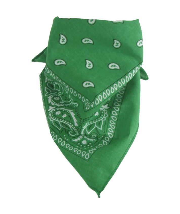 Bandana / boerenzakdoek met klassieke paisley print in biljartgroen